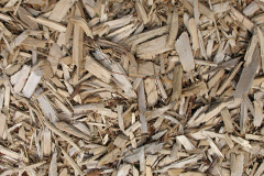 biomass boilers Penbeagle